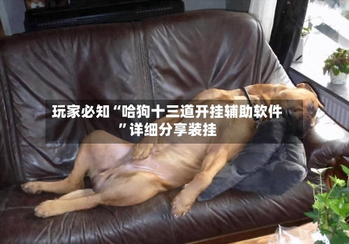 玩家必知“哈狗十三道开挂辅助软件”详细分享装挂