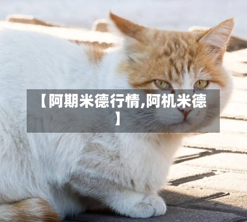 【阿期米德行情,阿机米德】