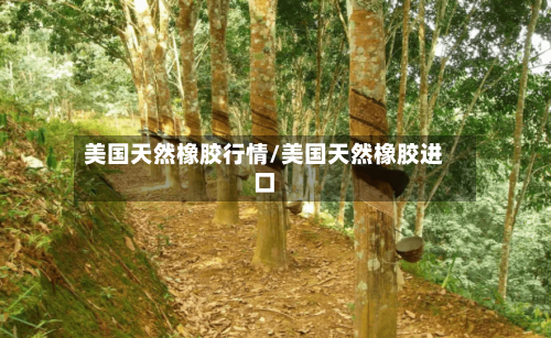 美国天然橡胶行情/美国天然橡胶进口-第2张图片