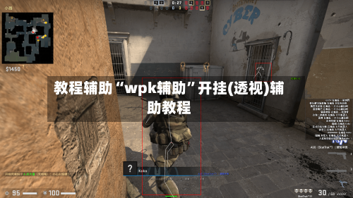 教程辅助“wpk辅助”开挂(透视)辅助教程-第2张图片
