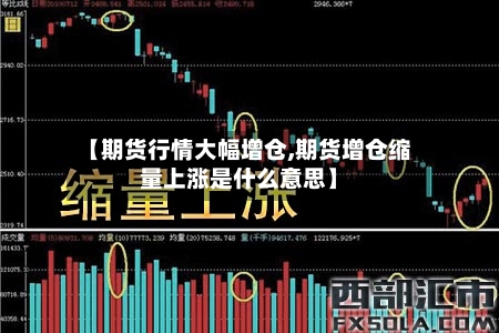 【期货行情大幅增仓,期货增仓缩量上涨是什么意思】-第2张图片