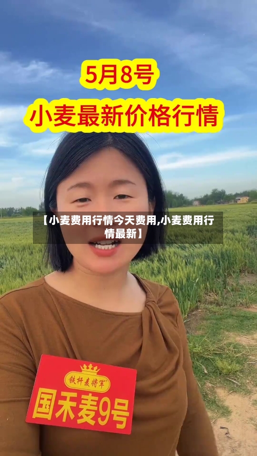 【小麦费用行情今天费用,小麦费用行情最新】