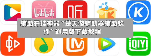 辅助开挂神器“楚天游辅助器辅助软件	”通用版下载教程-第3张图片