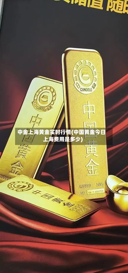 中金上海黄金实时行情(中国黄金今日上海费用是多少)