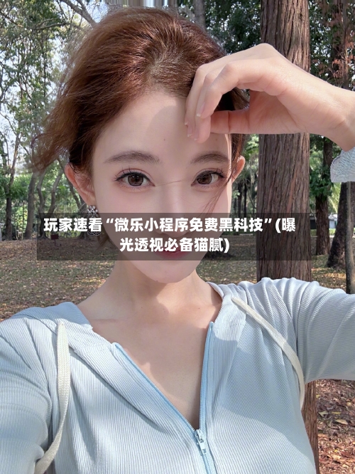 玩家速看“微乐小程序免费黑科技”(曝光透视必备猫腻)-第3张图片