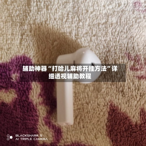 辅助神器“打哈儿麻将开挂方法”详细透视辅助教程-第2张图片