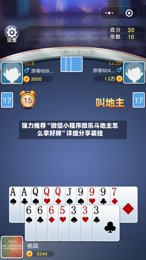 强力推荐“微信小程序微乐斗地主怎么拿好牌”详细分享装挂-第3张图片