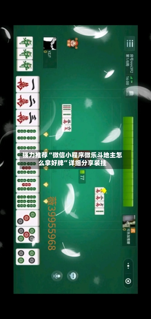 强力推荐“微信小程序微乐斗地主怎么拿好牌”详细分享装挂-第2张图片