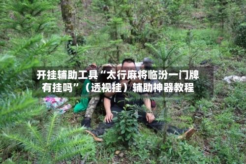 开挂辅助工具“太行麻将临汾一门牌有挂吗”（透视挂）辅助神器教程-第2张图片