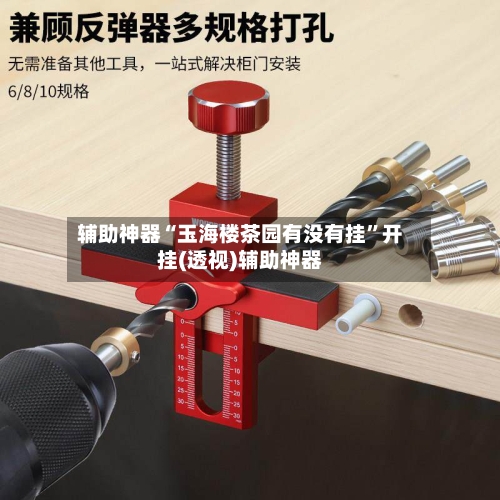 辅助神器“玉海楼茶园有没有挂	”开挂(透视)辅助神器-第2张图片
