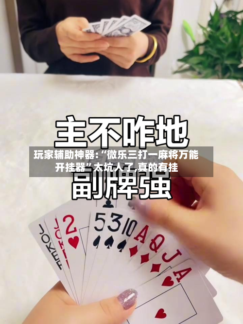 玩家辅助神器:“微乐三打一麻将万能开挂器	”太坑人了,真的有挂-第2张图片