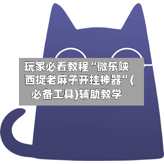 玩家必看教程“微乐陕西捉老麻子开挂神器”(必备工具)辅助教学-第2张图片