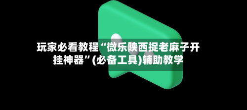 玩家必看教程“微乐陕西捉老麻子开挂神器”(必备工具)辅助教学