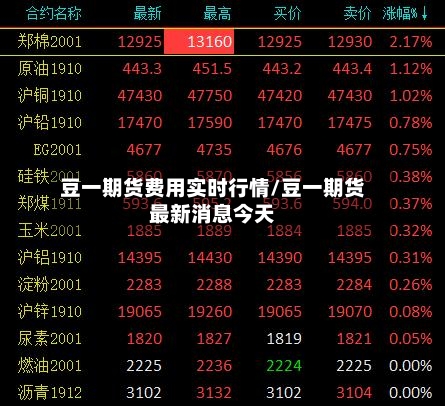 豆一期货费用实时行情/豆一期货最新消息今天