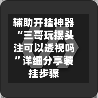 辅助开挂神器“三哥玩摆头注可以透视吗”详细分享装挂步骤-第2张图片