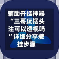 辅助开挂神器“三哥玩摆头注可以透视吗”详细分享装挂步骤-第3张图片