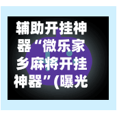 辅助开挂神器“微乐家乡麻将开挂神器”(曝光透视必备猫腻)-第2张图片
