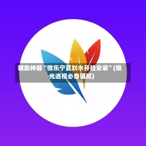 辅助神器“微乐宁夏划水开挂安装”(曝光透视必备猫腻)-第2张图片