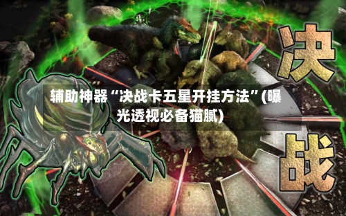 辅助神器“决战卡五星开挂方法”(曝光透视必备猫腻)