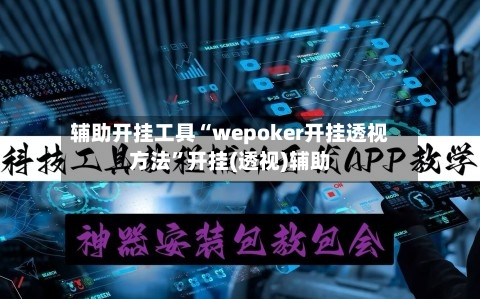 辅助开挂工具“wepoker开挂透视方法”开挂(透视)辅助-第2张图片