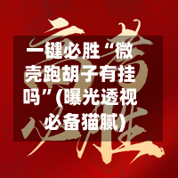 一键必胜“微壳跑胡子有挂吗”(曝光透视必备猫腻)-第3张图片