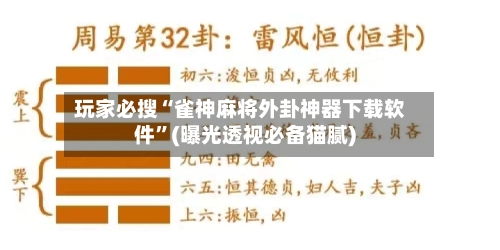 玩家必搜“雀神麻将外卦神器下载软件”(曝光透视必备猫腻)-第2张图片