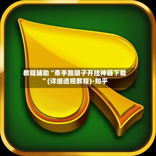 教程辅助“牵手跑胡子开挂神器下载”(详细透视教程)-知乎