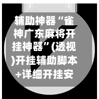 辅助神器“雀神广东麻将开挂神器”(透视)开挂辅助脚本+详细开挂安装教程