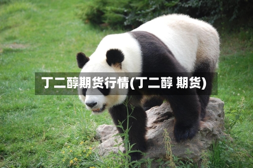 丁二醇期货行情(丁二醇 期货)-第2张图片