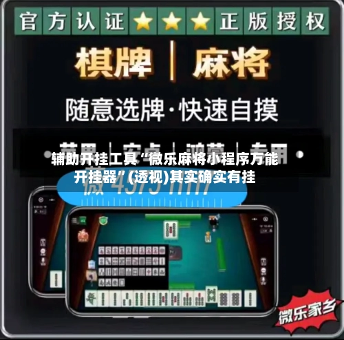 辅助开挂工具“微乐麻将小程序万能开挂器”(透视)其实确实有挂-第2张图片