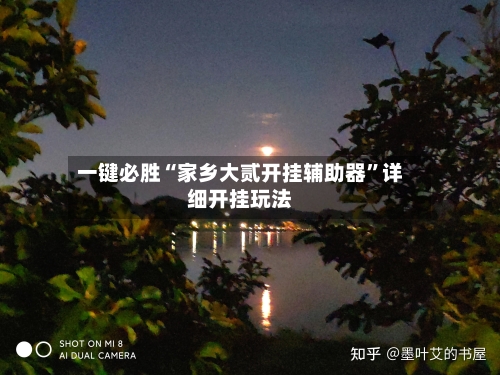一键必胜“家乡大贰开挂辅助器	”详细开挂玩法-第2张图片