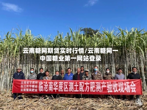 云南糖网期货实时行情/云南糖网一中国糖业第一网站登录