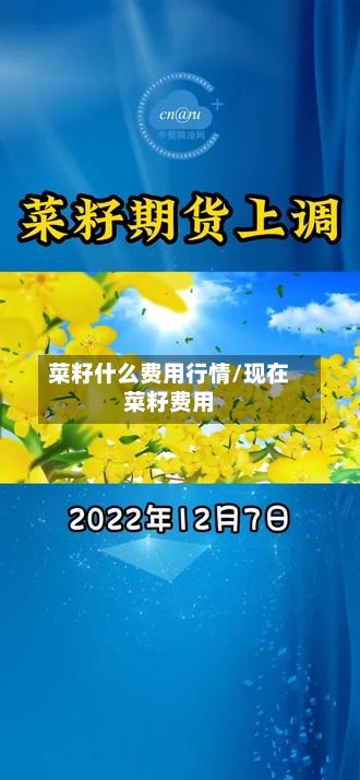 菜籽什么费用行情/现在菜籽费用