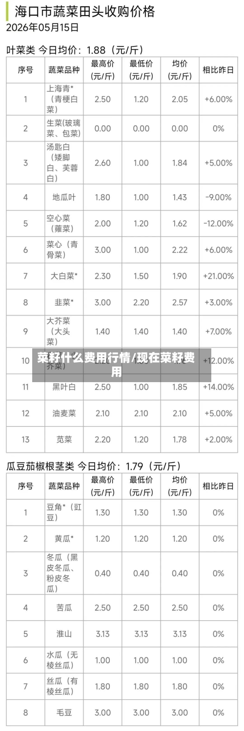 菜籽什么费用行情/现在菜籽费用-第2张图片