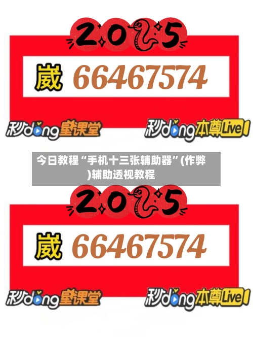 今日教程“手机十三张辅助器”(作弊)辅助透视教程