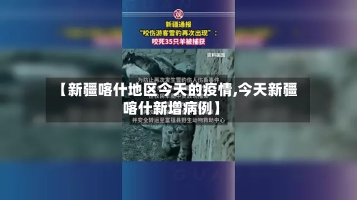 【新疆喀什地区今天的疫情,今天新疆喀什新增病例】