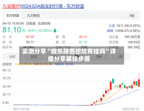 实测分享“微乐陕西挖坑有挂吗”详细分享装挂步骤