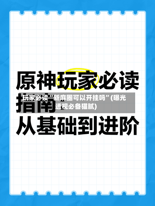 玩家必读“新麻圈可以开挂吗”(曝光透视必备猫腻)