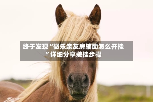 终于发现“微乐亲友房辅助怎么开挂”详细分享装挂步骤