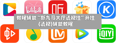 教程辅助“新九哥大厅透视挂”开挂(透视)辅助教程-第3张图片