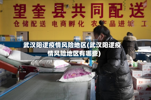 武汉阳逻疫情风险地区(武汉阳逻疫情风险地区有哪些)-第2张图片