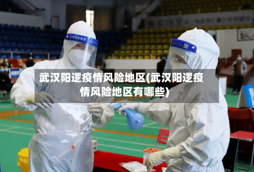 武汉阳逻疫情风险地区(武汉阳逻疫情风险地区有哪些)-第3张图片