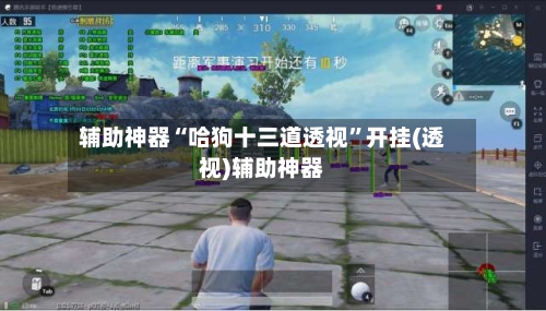 辅助神器“哈狗十三道透视”开挂(透视)辅助神器-第2张图片