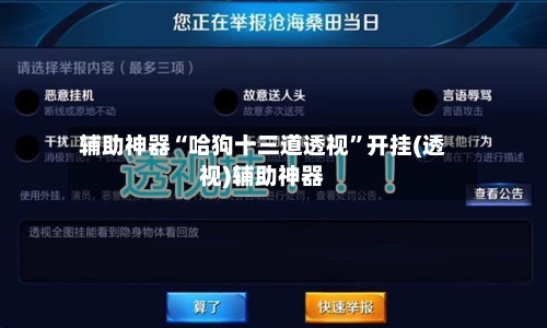 辅助神器“哈狗十三道透视	”开挂(透视)辅助神器-第3张图片