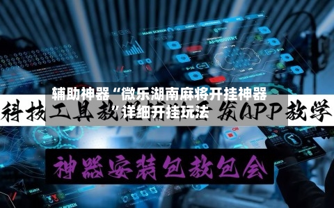 辅助神器“微乐湖南麻将开挂神器”详细开挂玩法-第3张图片