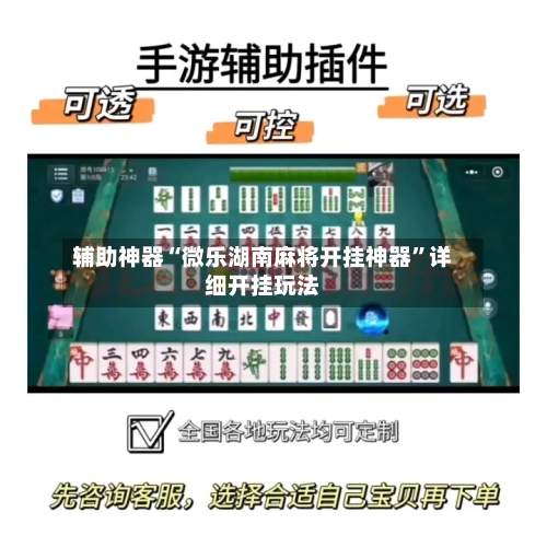 辅助神器“微乐湖南麻将开挂神器”详细开挂玩法-第2张图片