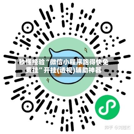 秒懂经验“微信小程序跑得快免费挂”开挂(透视)辅助神器-第2张图片
