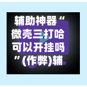 辅助神器“微壳三打哈可以开挂吗”(作弊)辅助透视教程-第2张图片