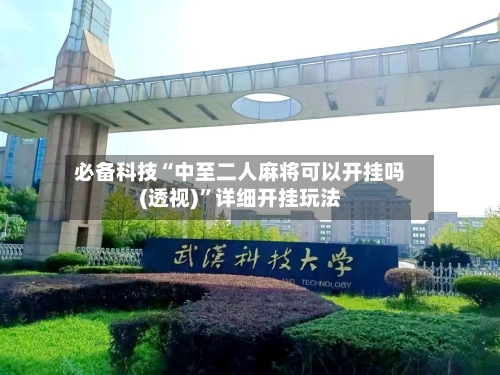 必备科技“中至二人麻将可以开挂吗(透视)”详细开挂玩法-第3张图片