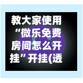 教大家使用“微乐免费房间怎么开挂	”开挂(透视)辅助神器-第2张图片